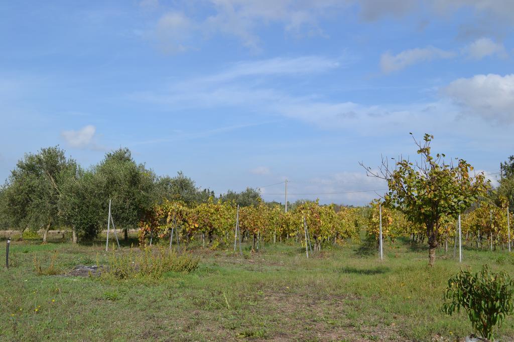 Villa La Scaletta Alghero Rom bilde