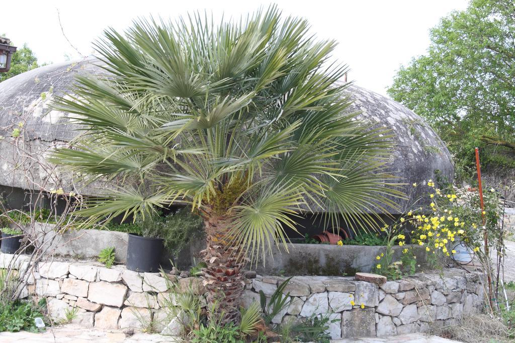 Villa La Scaletta Alghero Rom bilde