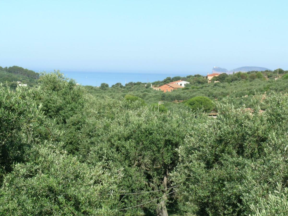 Villa La Scaletta Alghero Eksteriør bilde